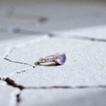 Anillo Axia con Piedras - Imagen 2